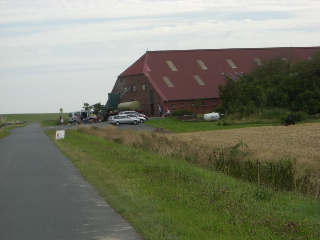 Marathon Aurich 048